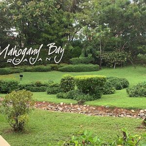 Meet your Posher, Arcola